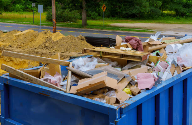 Best Basement Cleanout  in Tton, IL